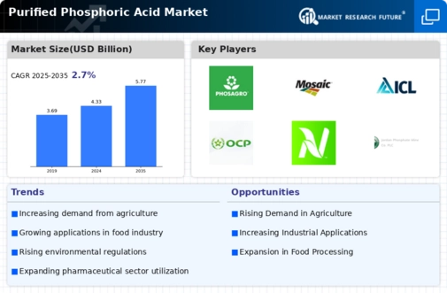 Purified Phosphoric Acid Market Infographic