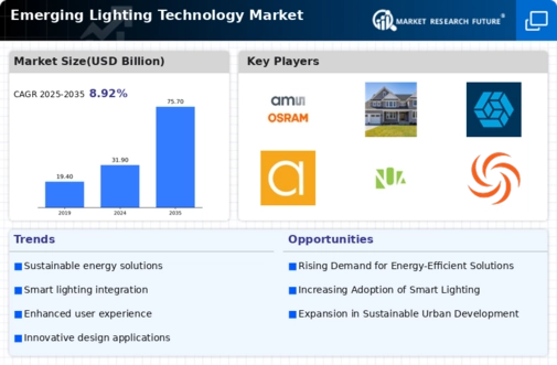 Emerging Lighting Technology Market Infographic