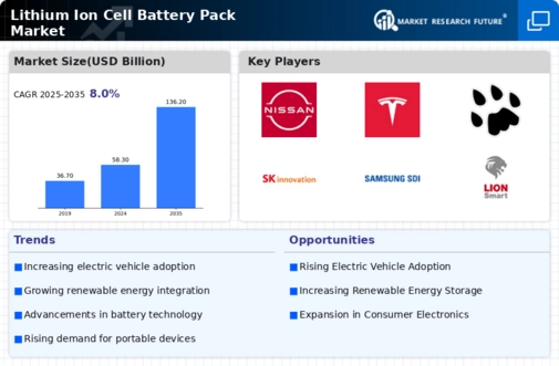 Lithium Ion Cell Battery Pack Market Infographic