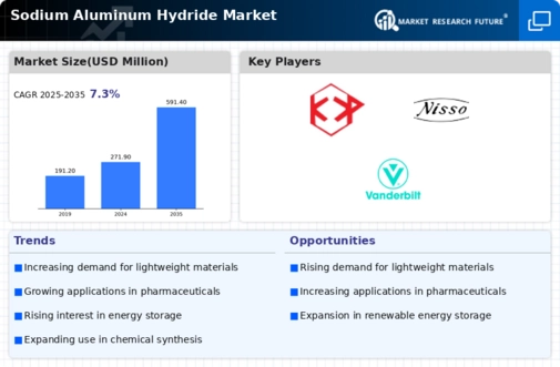 Sodium Aluminum Hydride Market Infographic