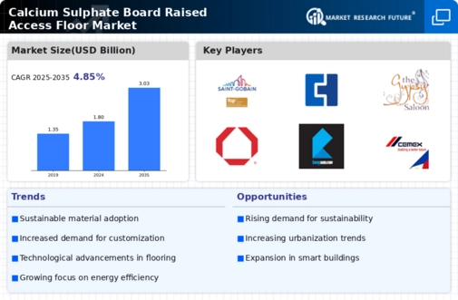 Calcium Sulphate Board Raised Access Floor Market Infographic