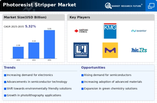 Photoresist Stripper Market Infographic