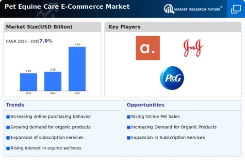 Pet Equine Care E Commerce Market Infographic