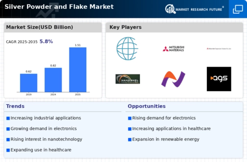 Silver Powder Flake Market Infographic