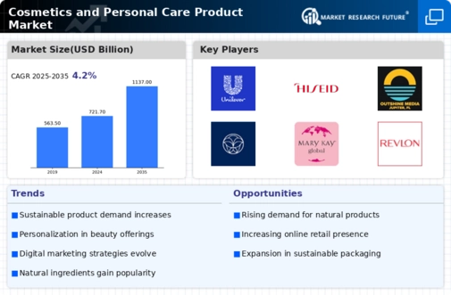 Cosmetics and Personal Care Product Market Infographic