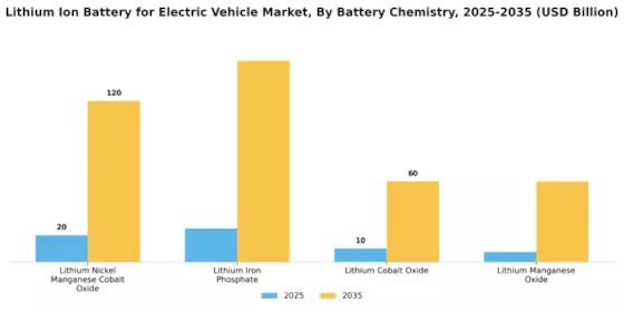 Lithium Ion Battery Electric Vehicle Market Segment Image 0