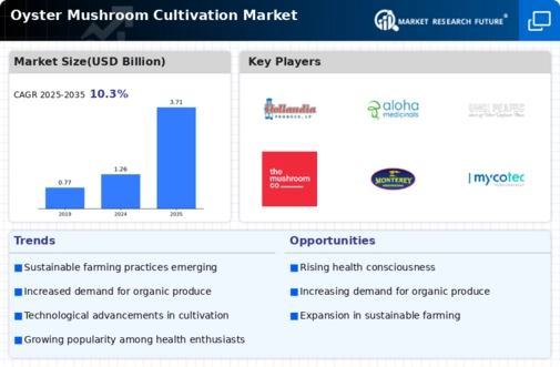 Oyster Mushroom Cultivation Market Infographic