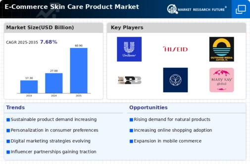 E-Commerce Skin Care Product Market Infographic
