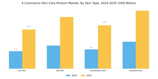E-Commerce Skin Care Product Market Segment Image 1