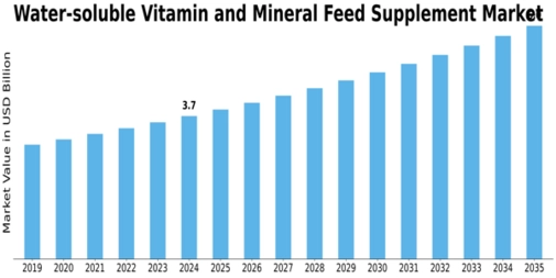 Water soluble Vitamin Mineral Feed Supplement Market Size