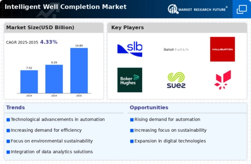 Intelligent Well Completion Market Infographic