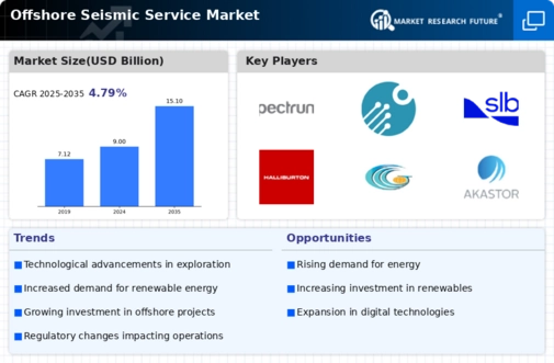 Offshore Seismic Service Market Infographic