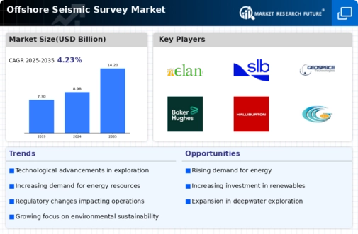 Offshore Seismic Survey Market Infographic