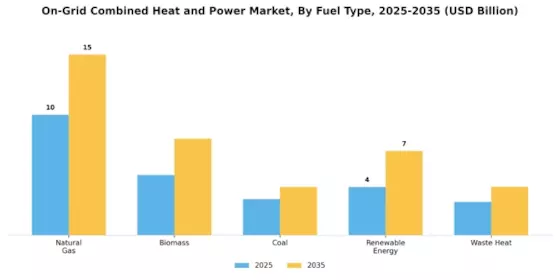 On Grid Combined Heat Power Market Segment Image 2