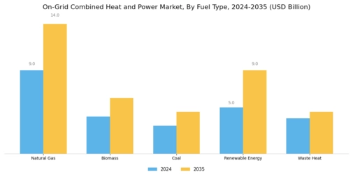 On Grid Combined Heat Power Market Segment Image 2