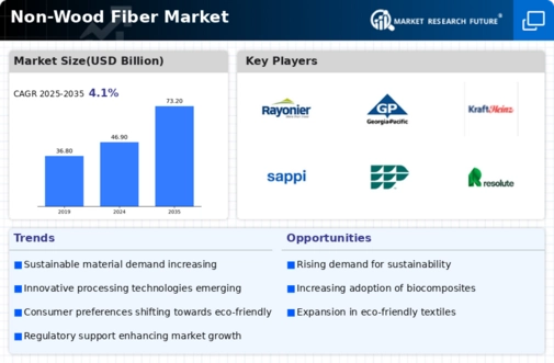 Non Wood Fiber Market
 Infographic