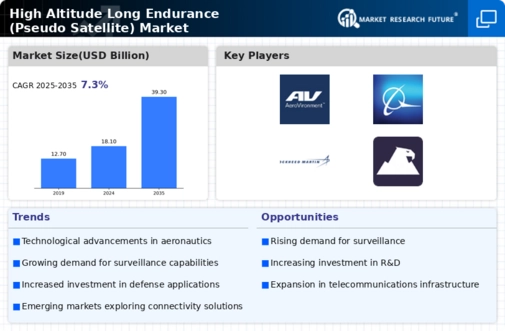 High Altitude Long Endurance Market Infographic