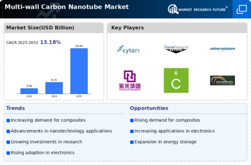 Multiwall Carbon Nanotube Market Infographic