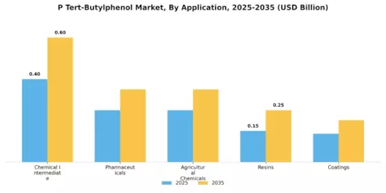 P Tert Butylphenol Market Segment Image 0