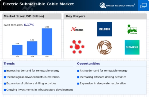 Electric Submersible Cable Market Infographic
