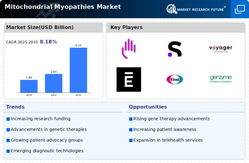 Mitochondrial Myopathies Market Infographic