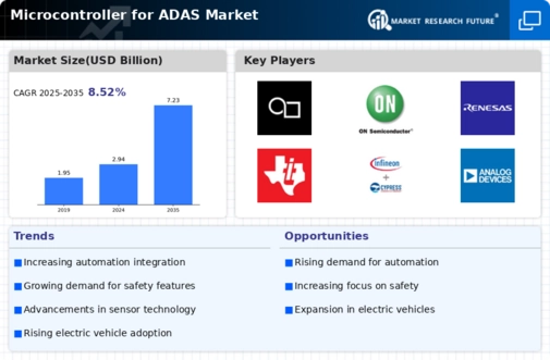 Microcontroller ADAS Market Infographic