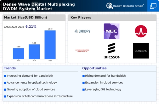 Dense Wave Digital Multiplexing System Market Infographic