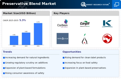 Preservative Blend Market Infographic