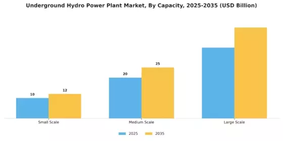 Underground Hydro Power Plant Market Segment Image 2