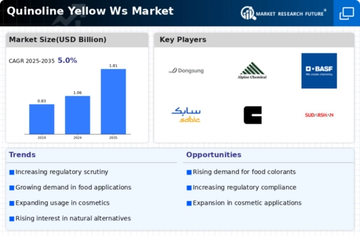 Quinoline Yellow WS Market Infographic