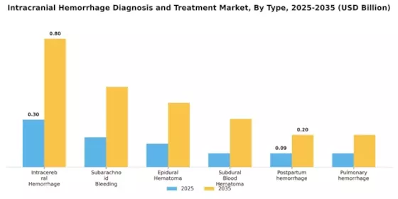 Intracranial Hemorrhage Diagnosis and Treatment Market Segment Image 2