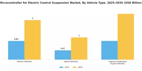 Electric Control Suspension Microcontrollers Market Segment Image 3
