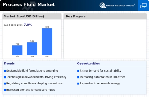 Process Fluid Market Infographic