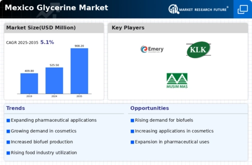 Mexico Glycerine Market Infographic