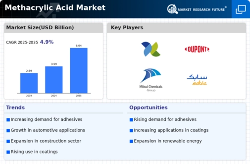 Methacrylic Acid Market Infographic