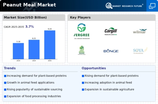 Peanut Meal Market Infographic
