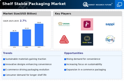Shelf Stable Packaging Market Infographic
