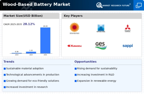 Wood Based Battery Market Infographic