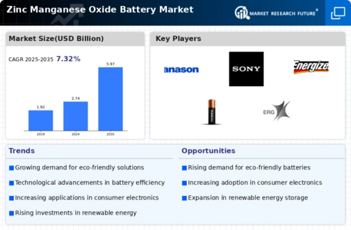 Zinc Manganese Oxide Battery Market Infographic