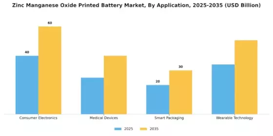 Zinc Manganese Oxide Printed Battery Market Segment Image 0