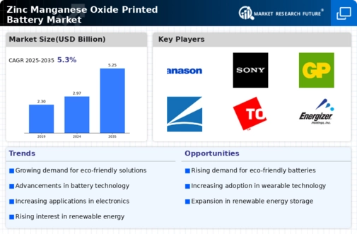 Zinc Manganese Oxide Printed Battery Market Infographic
