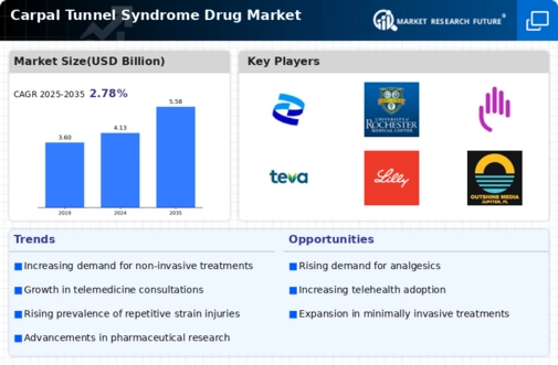 Carpal Tunnel Syndrome Drug Market Infographic