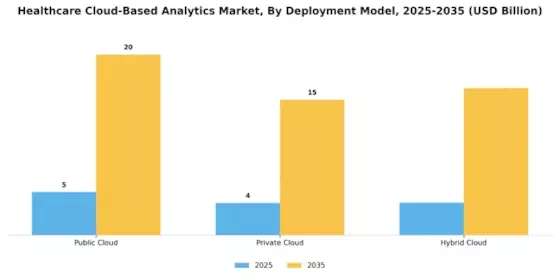 Healthcare Cloud Based Analytics Market Segment Image 0