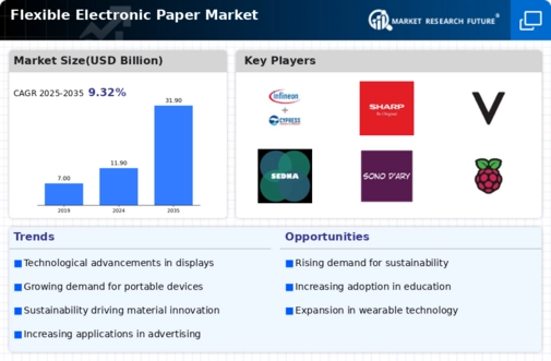 Flexible Electronic Paper Market Infographic