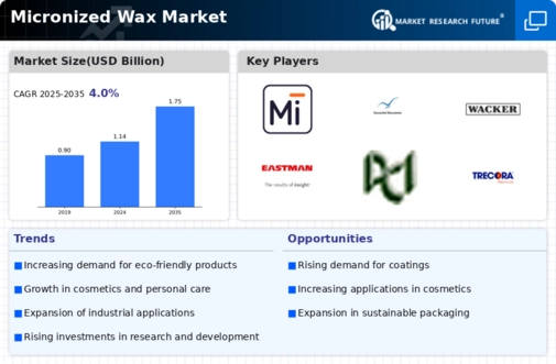 Micronized Wax Market Infographic