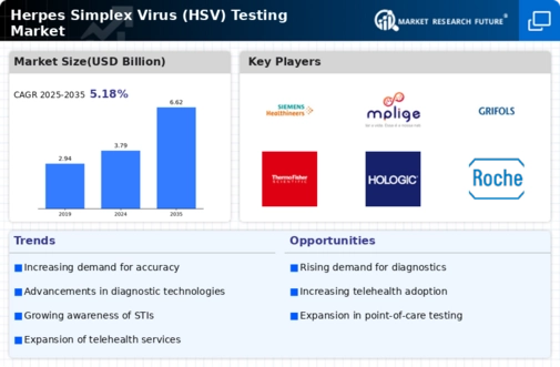 Herpes Simplex Virus HSV Testing Market Infographic