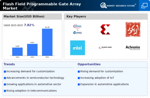 Flash Field Programmable Gate Array Market Infographic