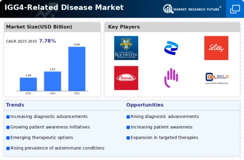 IGG4 Related Disease Market Infographic