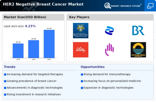 HER2 Negative Breast Cancer Market Infographic
