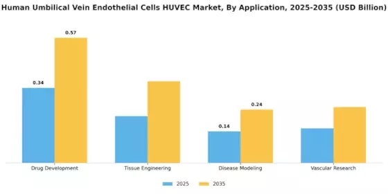Human Umbilical Vein Endothelial Cells Huvec Market Segment Image 0